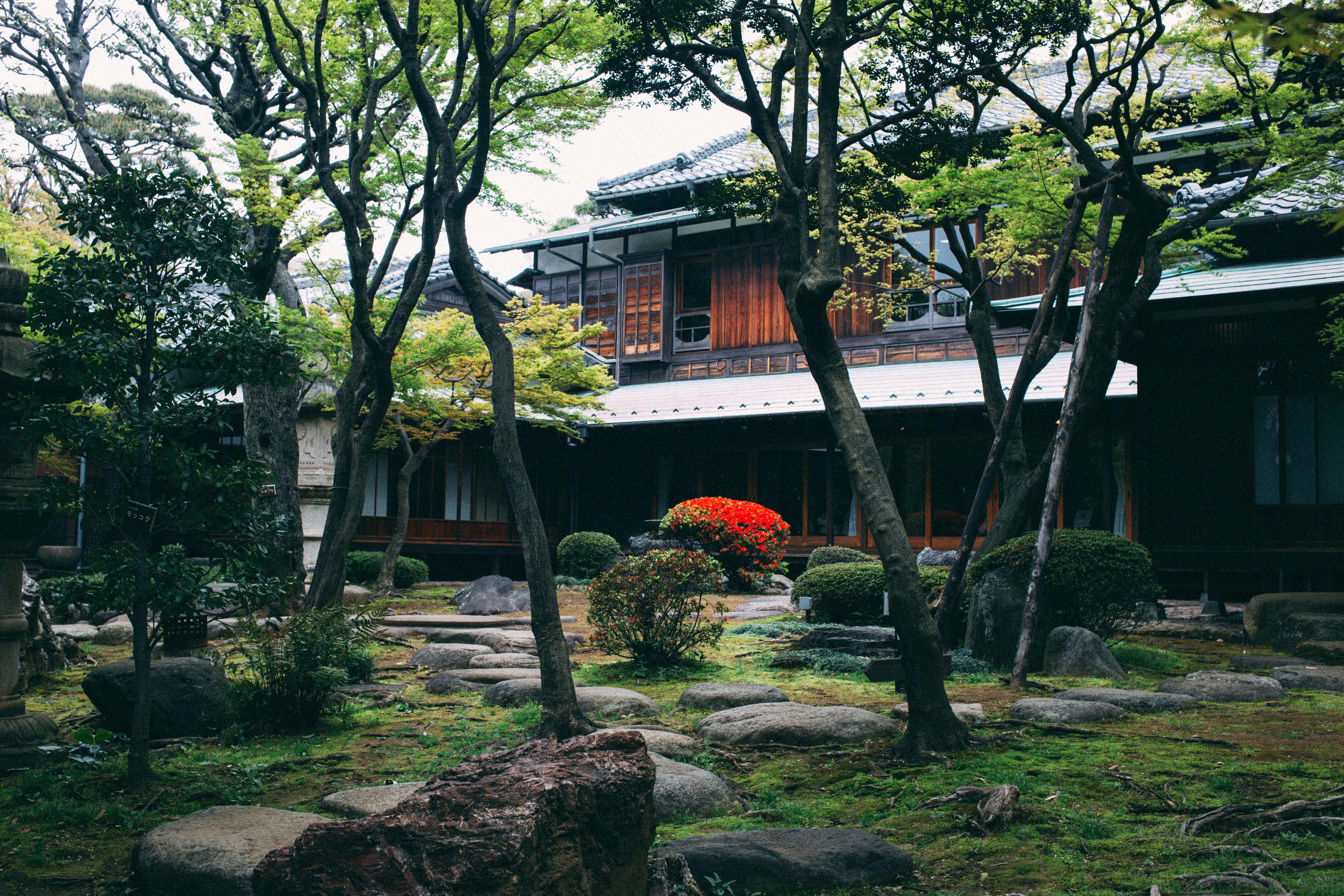 Quiet Tokyo garden reflecting the city's layered history and cultural depth